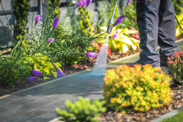 Best Pool Deck Cleaning  in Hampton Manor, NY